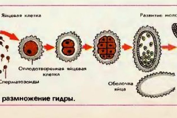 Kraken com зеркало