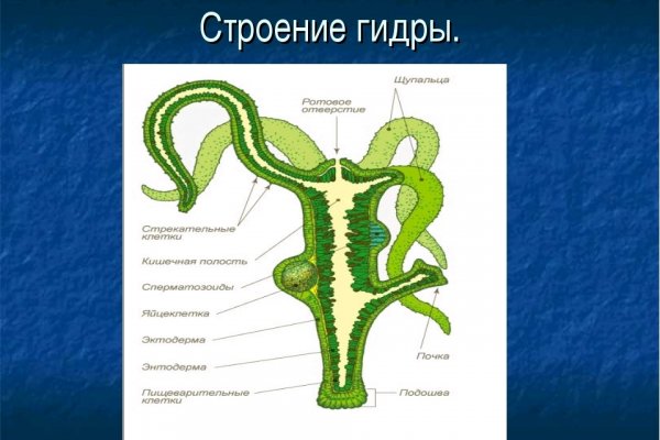 Кракен даркнет только через тор скачать